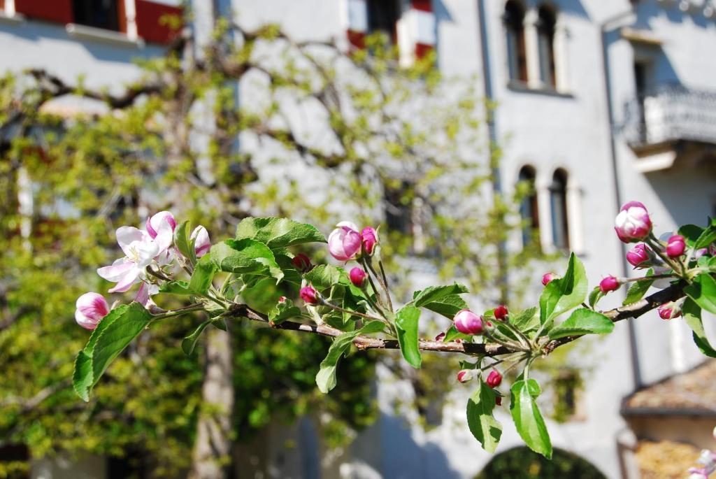 Apartments Schloss Paschbach Апп'яно-сулла-Страда-дель-Віно Екстер'єр фото